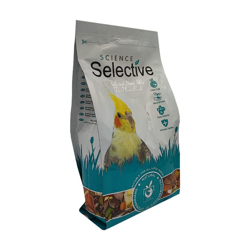 عروس هلندی سلکتیو