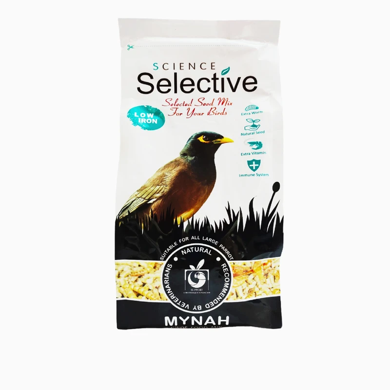 مینا سلکتیو