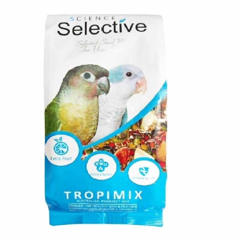 گرینچیک و راهب سلکتیو