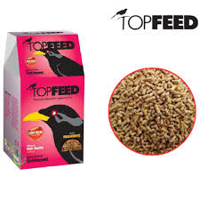 پلت مرغ مینا تاپ فید