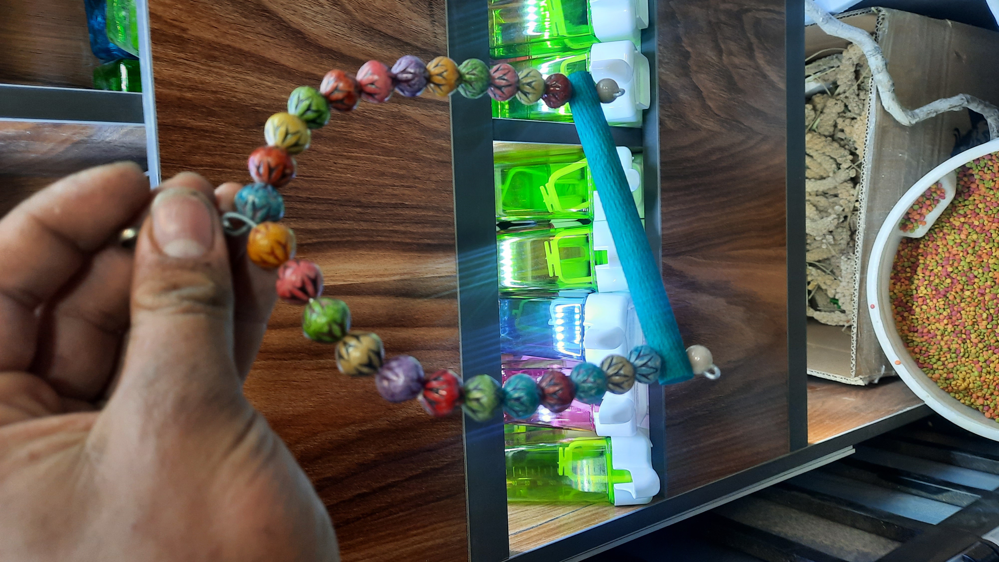 تاپ پرندگان