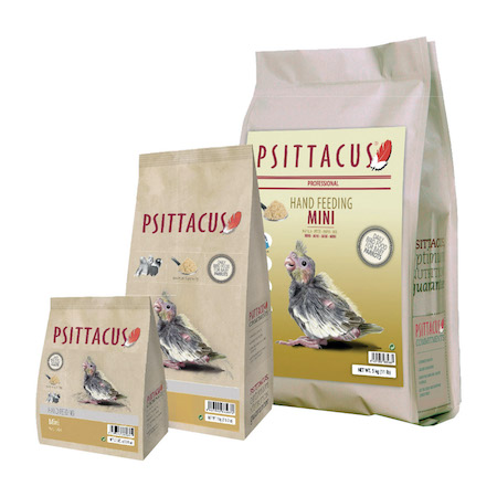 سرلاک مینی سیتاکوس