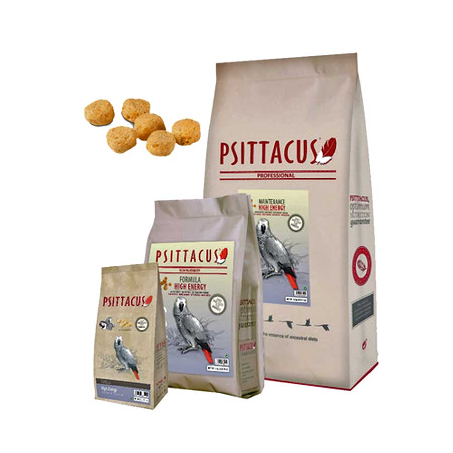 پلت های انرژی سیتاکوس